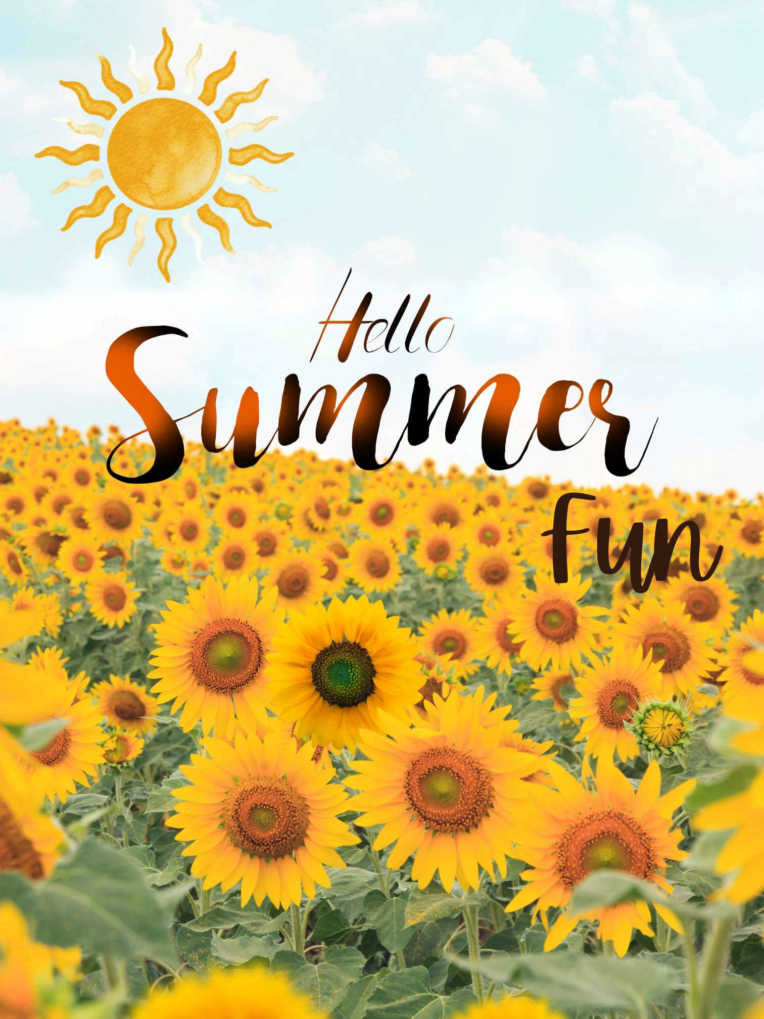 Hello Summer Hello Summer